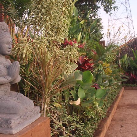 بيموتيران Eliska Sari Bungalows Sumberkima المظهر الخارجي الصورة