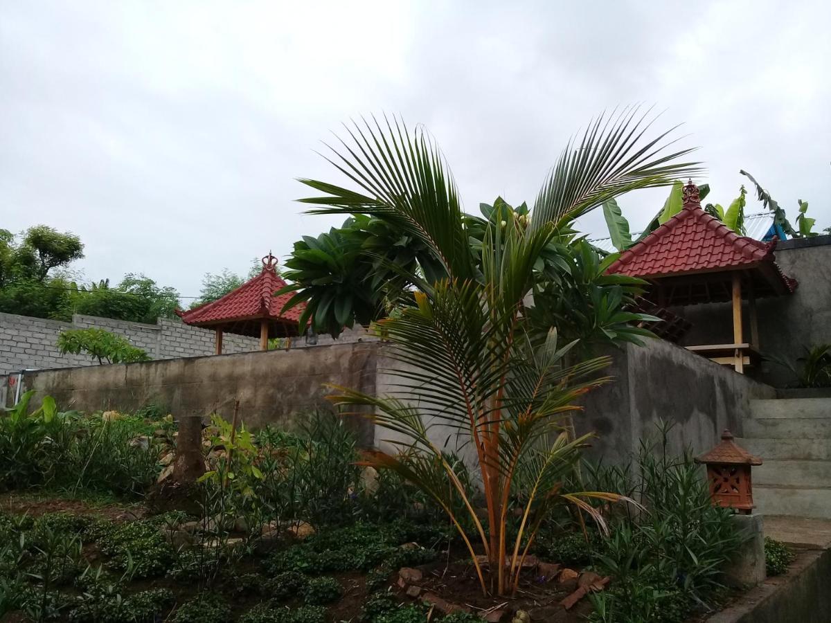 بيموتيران Eliska Sari Bungalows Sumberkima المظهر الخارجي الصورة