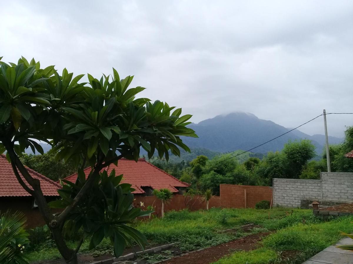 بيموتيران Eliska Sari Bungalows Sumberkima المظهر الخارجي الصورة
