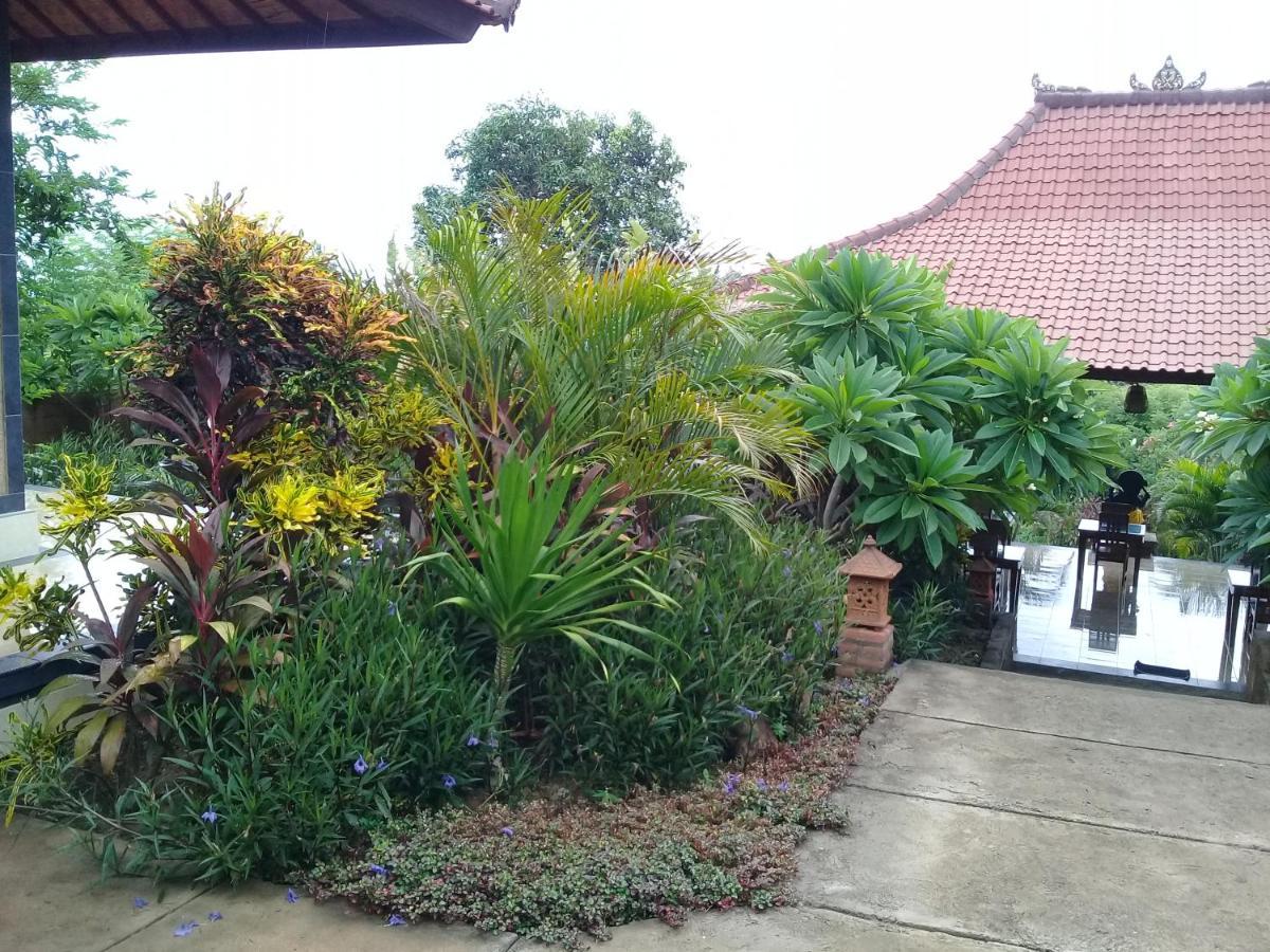 بيموتيران Eliska Sari Bungalows Sumberkima المظهر الخارجي الصورة