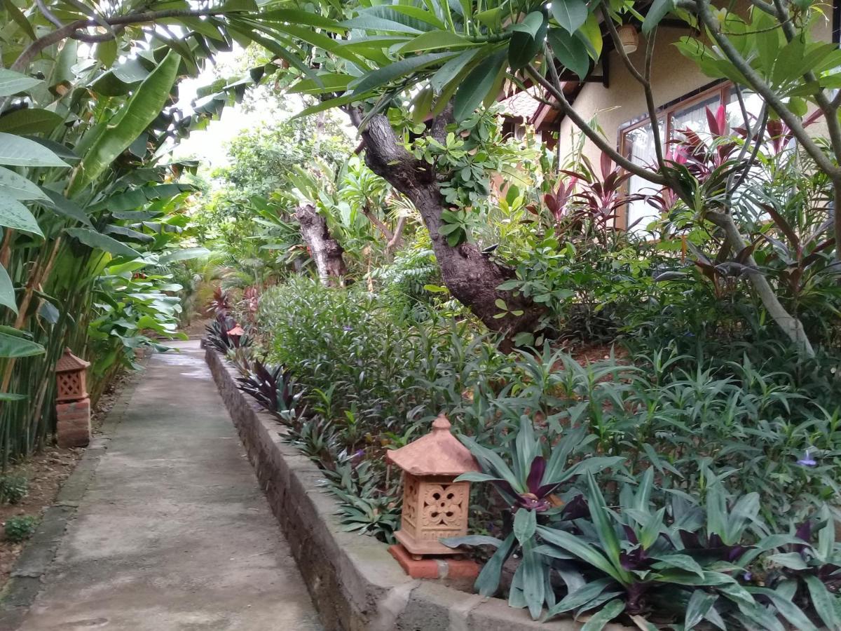 بيموتيران Eliska Sari Bungalows Sumberkima المظهر الخارجي الصورة