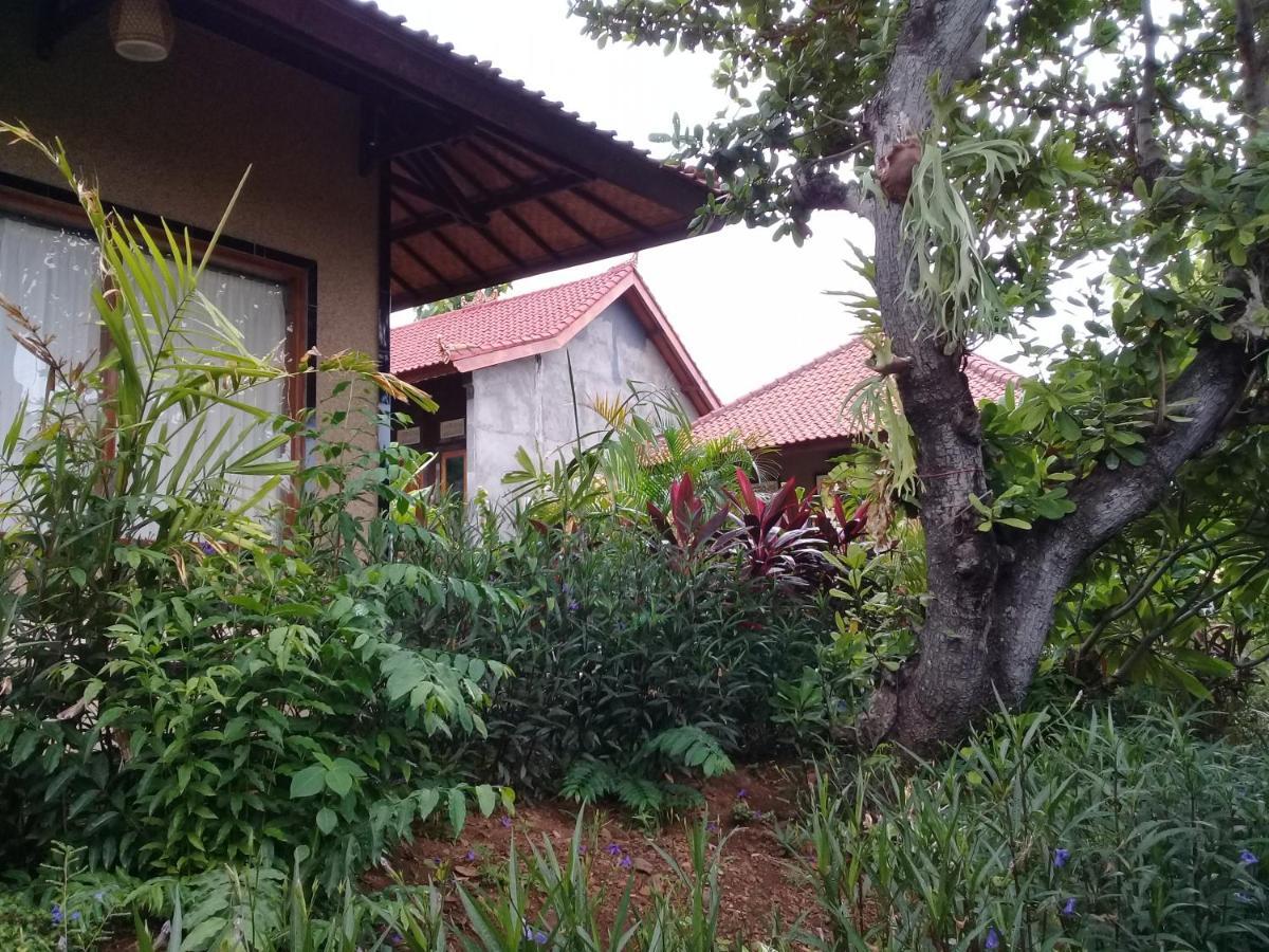 بيموتيران Eliska Sari Bungalows Sumberkima المظهر الخارجي الصورة