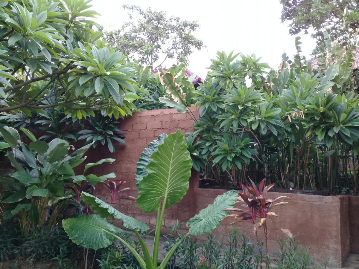 بيموتيران Eliska Sari Bungalows Sumberkima المظهر الخارجي الصورة